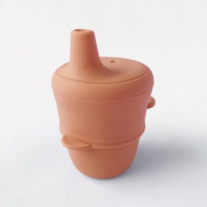Honeysuckle Pink - Sippy Cup & Lid