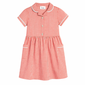 Oaklands Primary Dark Red Gingham Summer Dress