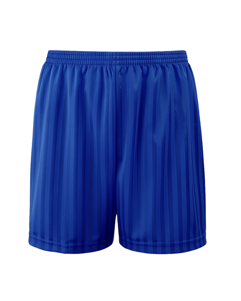 Willesborough Junior & Infant Schools Blue PE Shorts