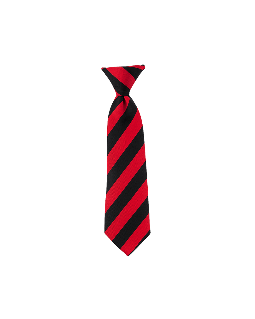 St Pauls Burgundy & Black Tie Year 10-11 Clip On